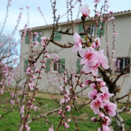 Tatil Evi Holiday Traverse Du Soler Thuir